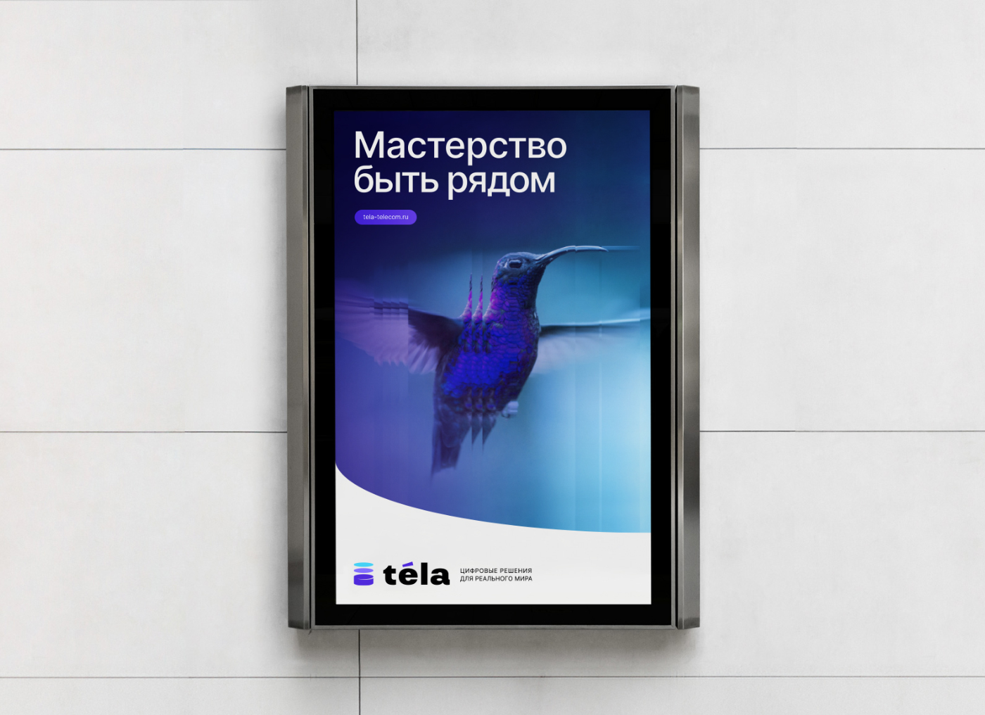 Téla: мастерство быть рядом